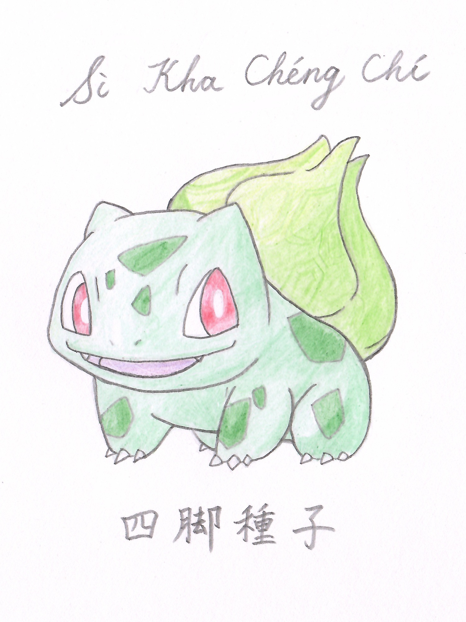 四脚種子