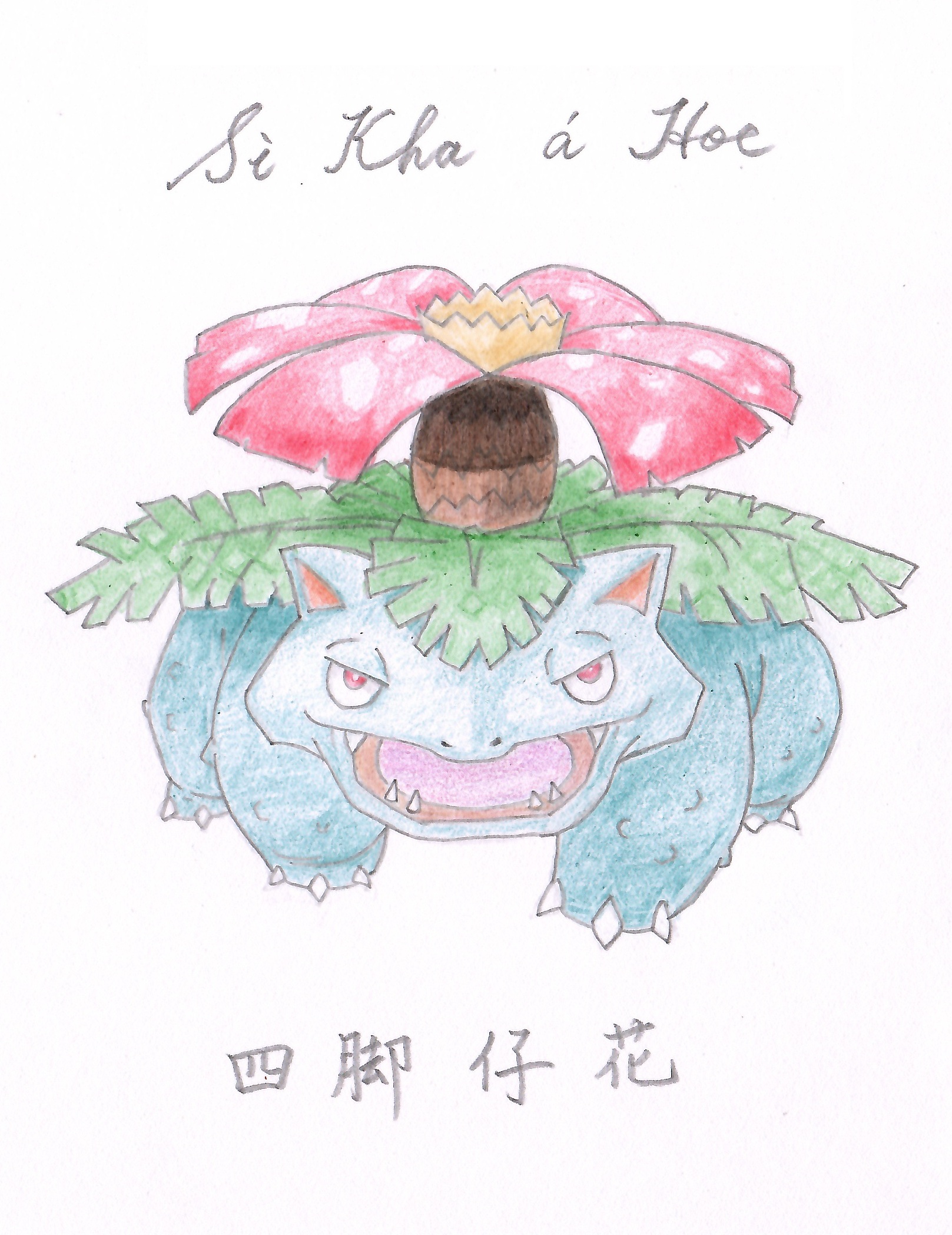 四脚仔花