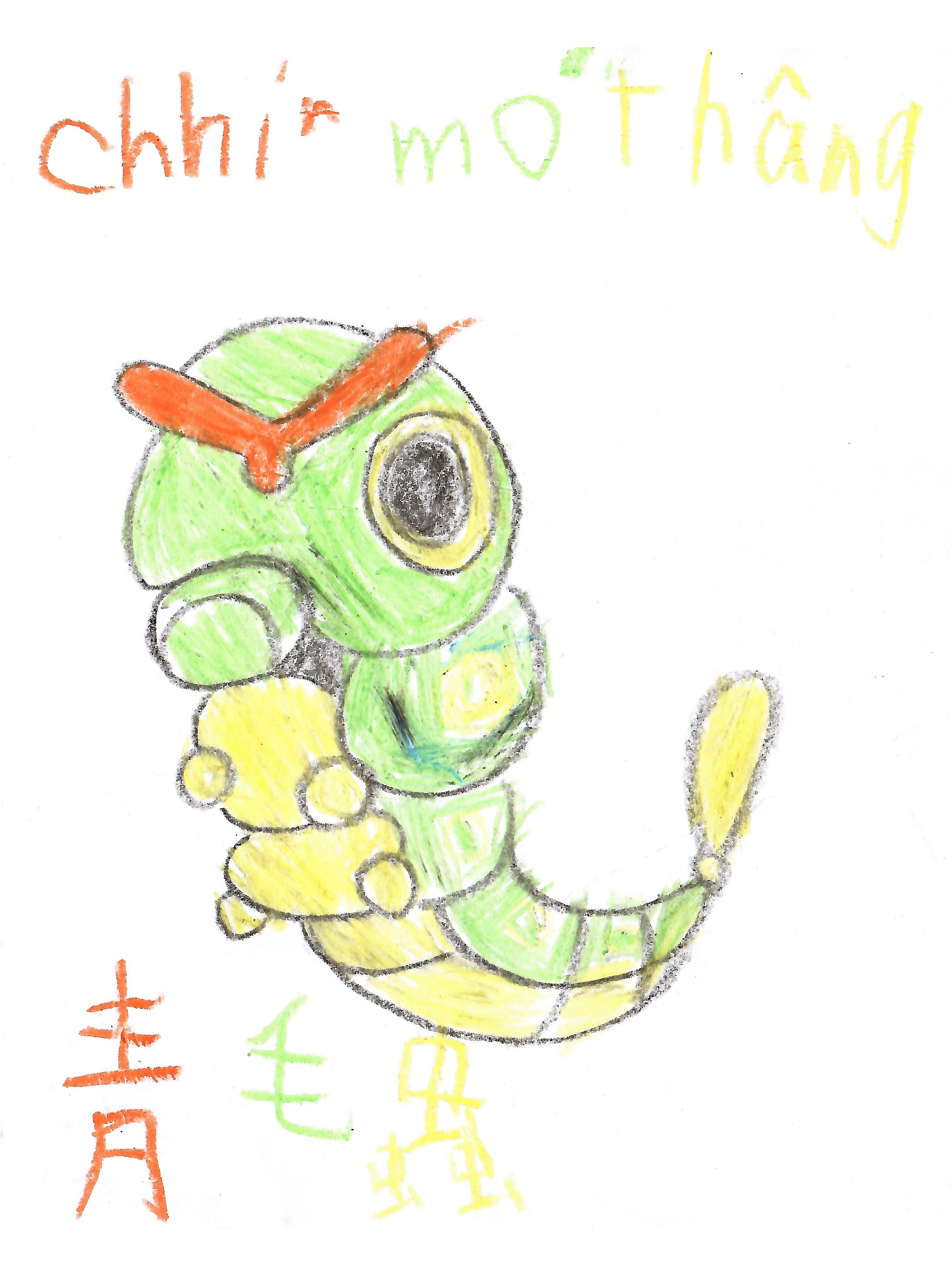 青毛蟲