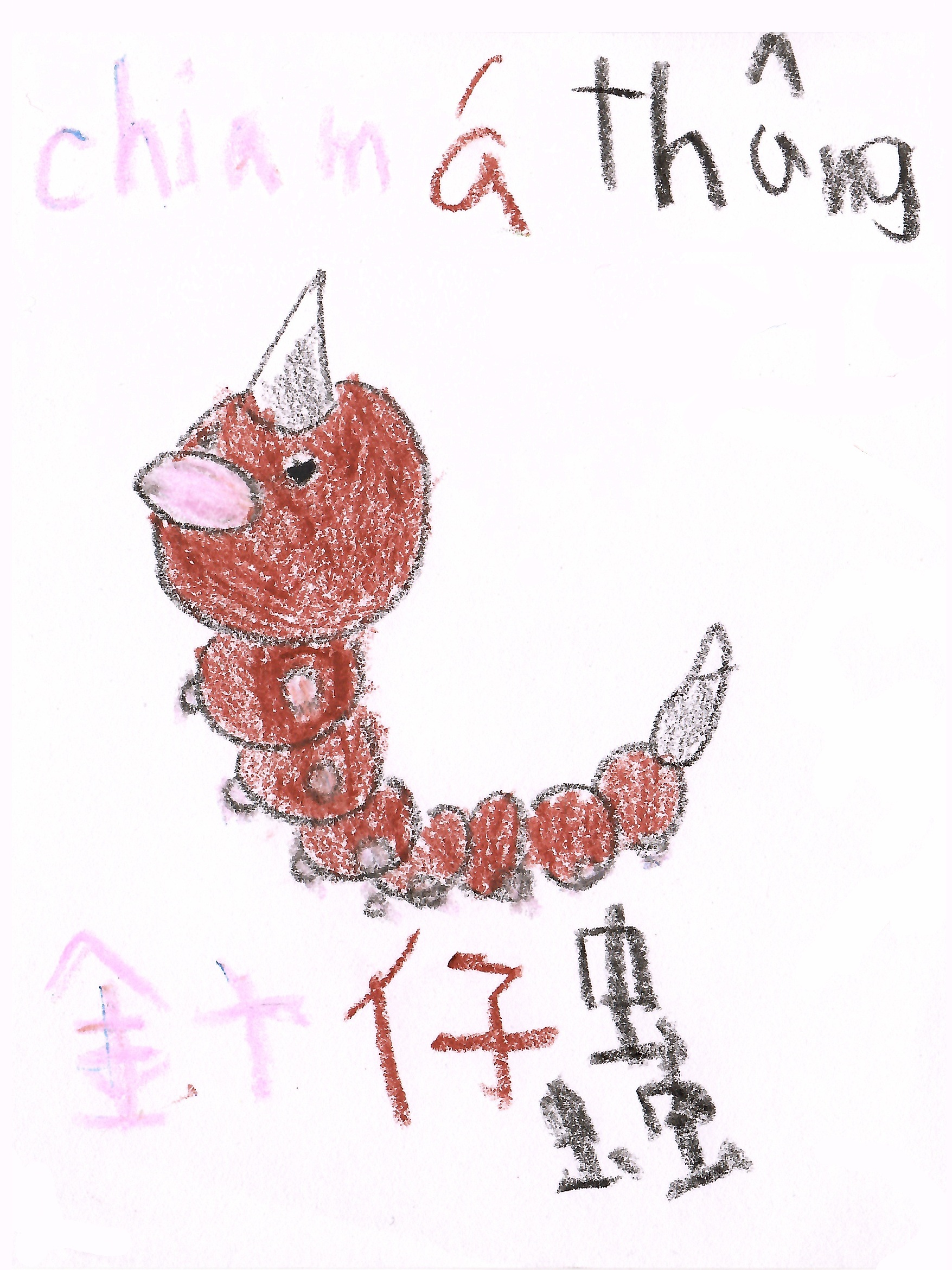 針仔蟲