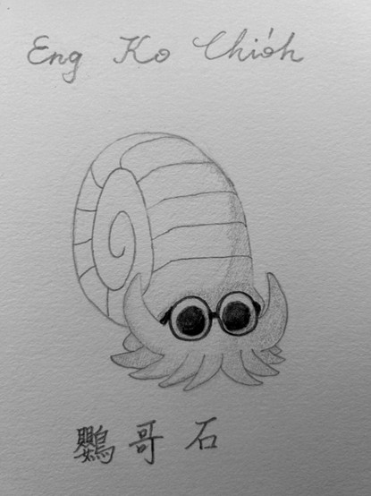 鸚哥石