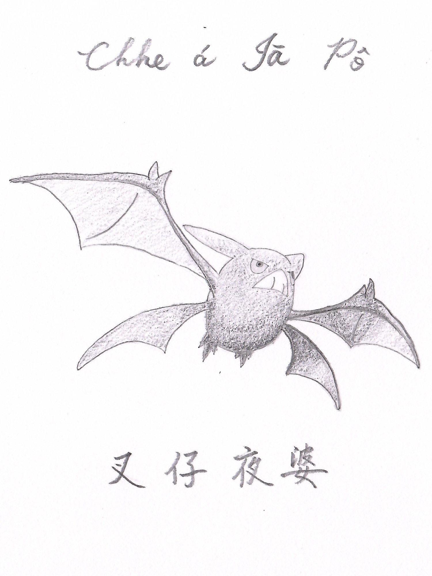 叉仔夜婆