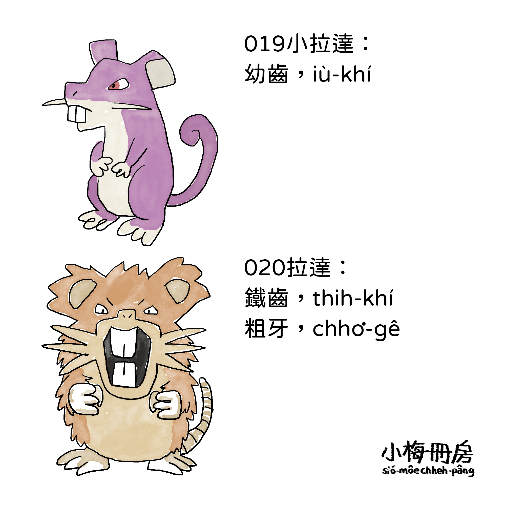 019-020